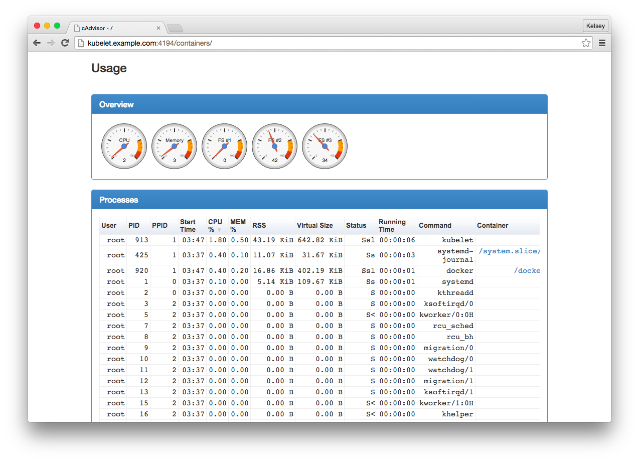 cadvisor gauges