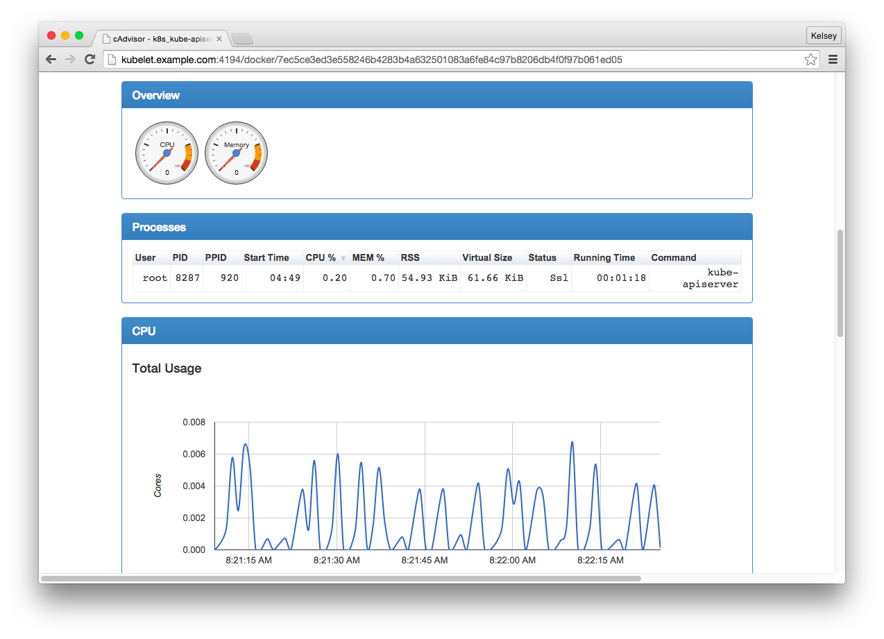 cadvisor inspecting a container